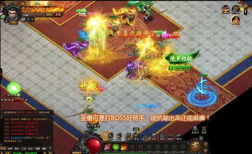 今天新开传奇网站-传奇网站开服表,新开传奇私服